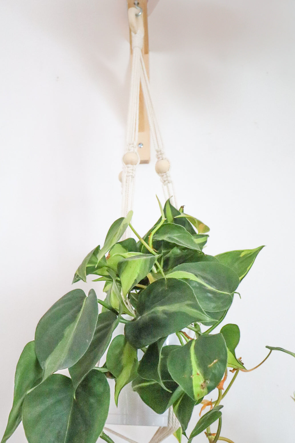 suspension en macramé double écru bohème bois clair cocooning