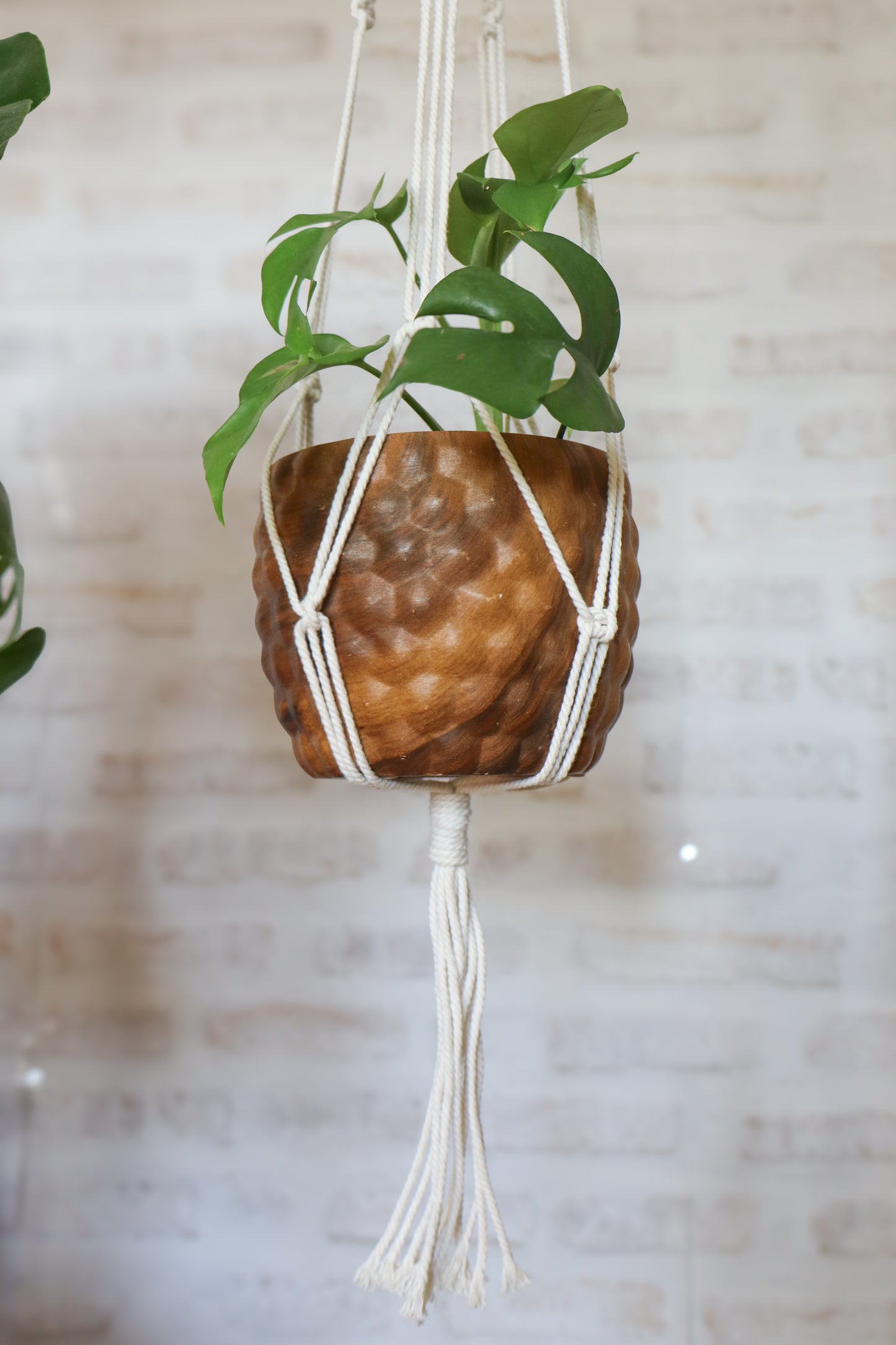 suspension en macramé porte plante en macramé plant hanger écru bois decoration boheme Maiana