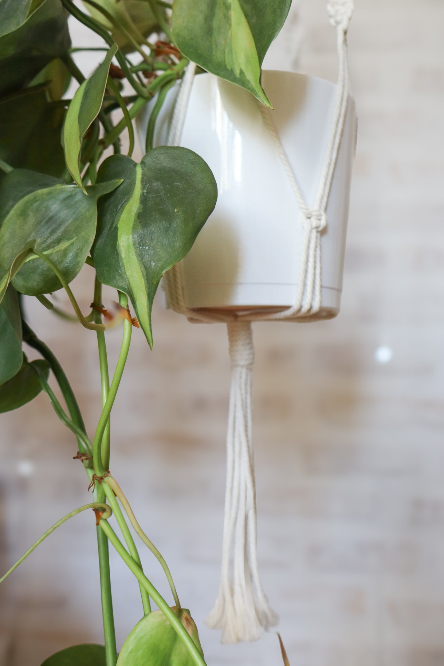 suspension en macramé porte plante en macramé plant hanger écru bois decoration boheme Maiana