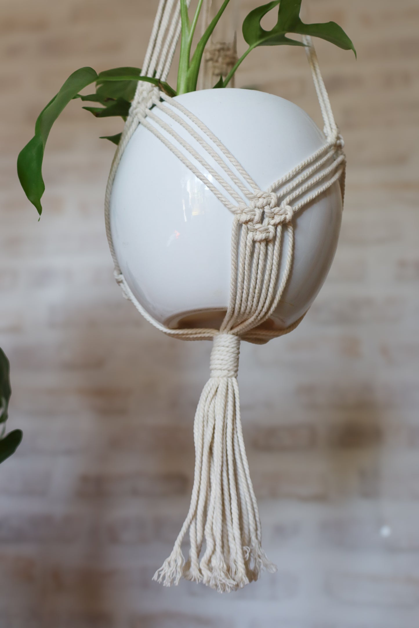 suspension en macramé porte plante en macramé plant hanger écru bois decoration boheme Maiana