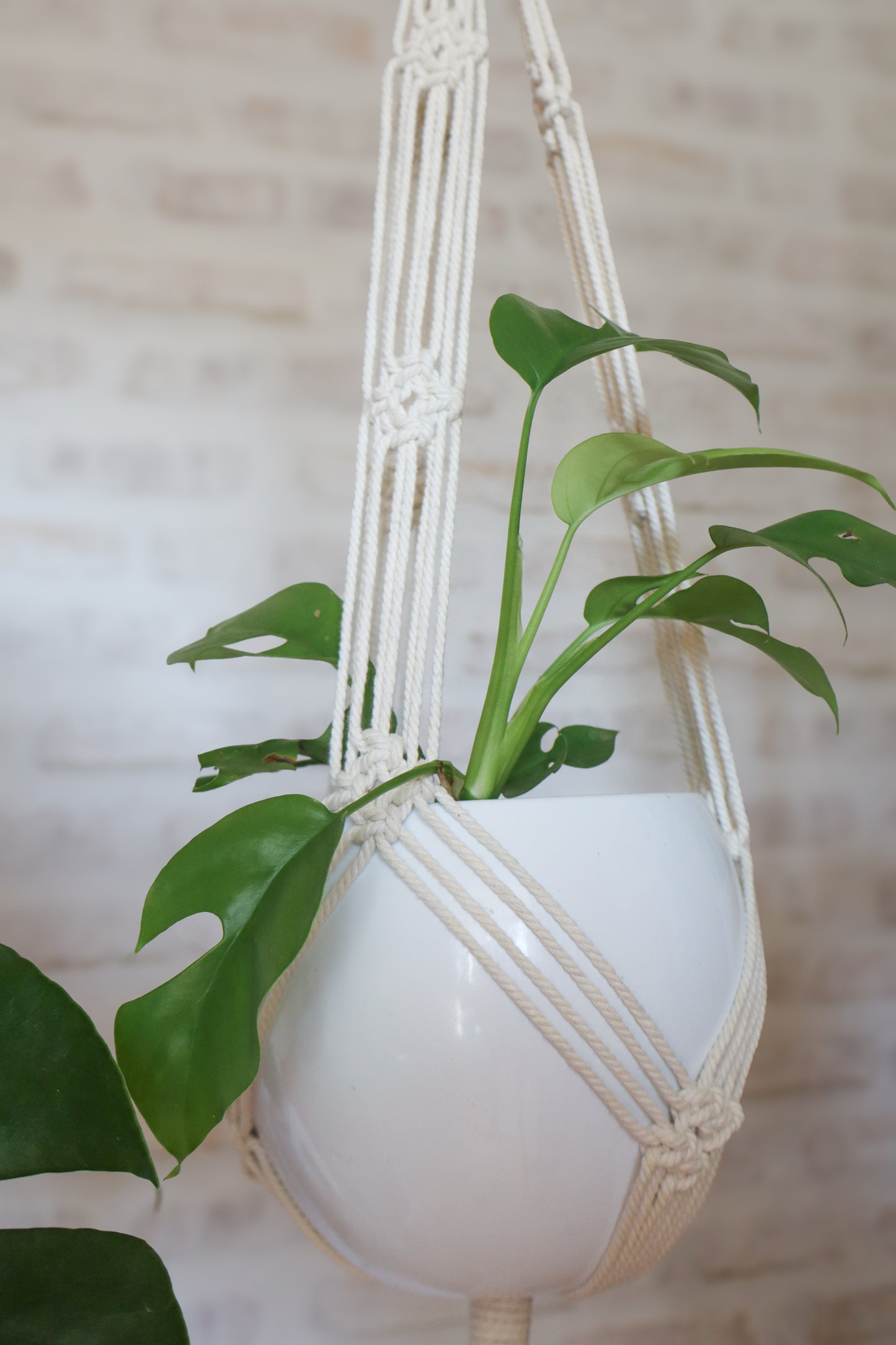 suspension en macramé porte plante en macramé plant hanger écru bois decoration boheme Maiana