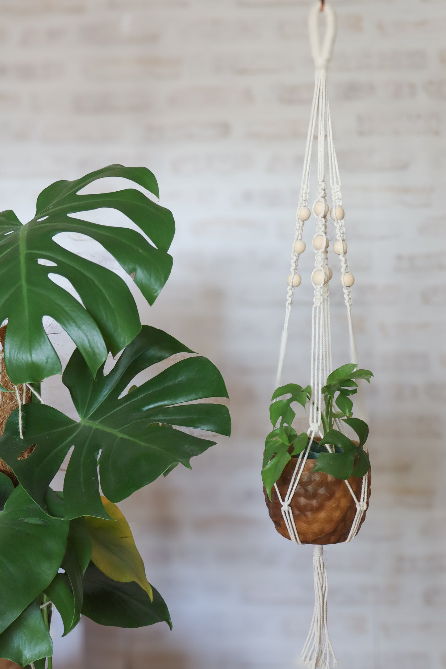 suspension en macramé porte plante en macramé plant hanger écru bois decoration boheme Maiana