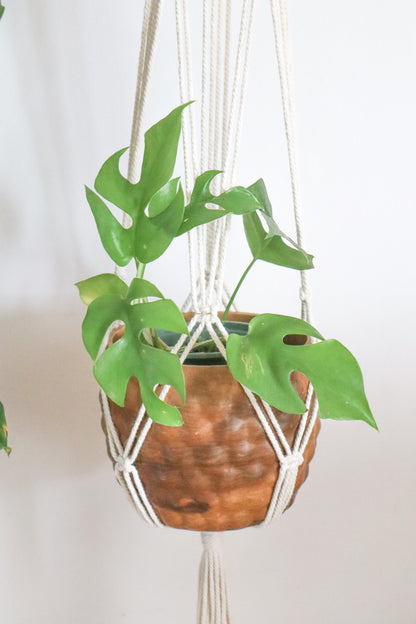 Suspension en macramé pour plantes | Vancouver | Maiana