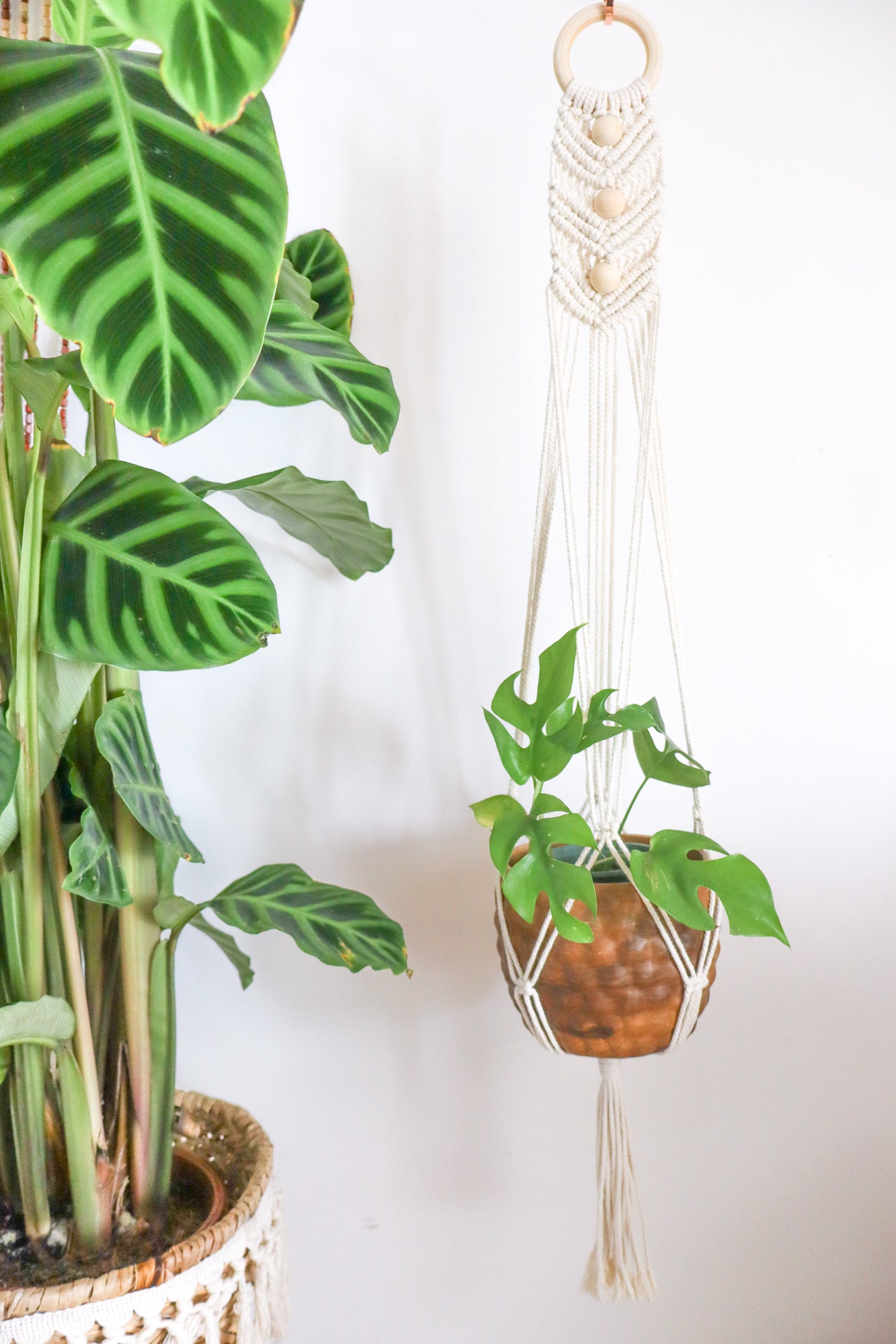 suspension en macramé bohème bois clair cocooning