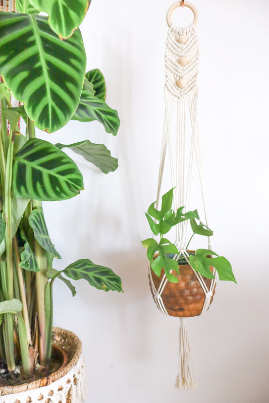 suspension en macramé bohème bois clair cocooning