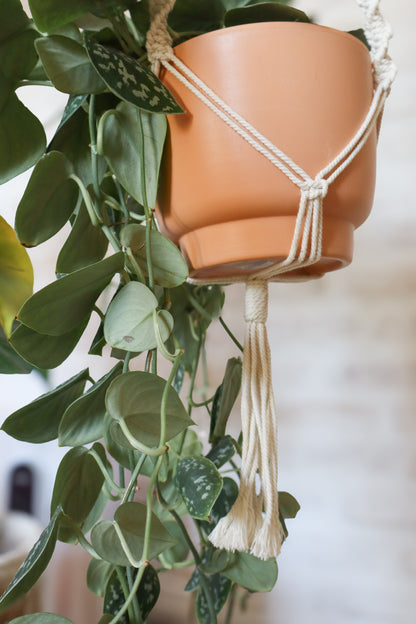 suspension en macramé porte plante en macramé plant hanger écru bois Maiana