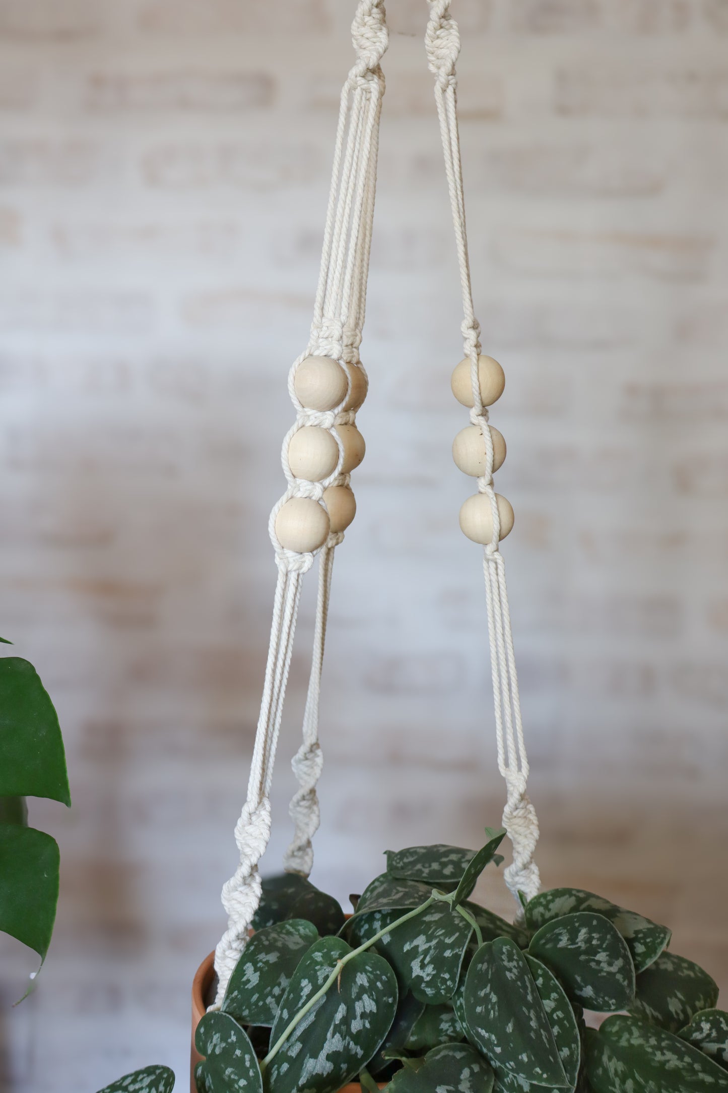 suspension en macramé porte plante en macramé plant hanger écru bois Maiana