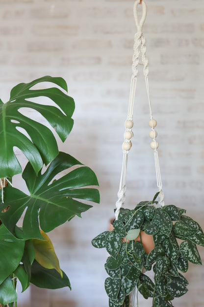 suspension en macramé porte plante en macramé plant hanger écru bois decoration boheme Maiana