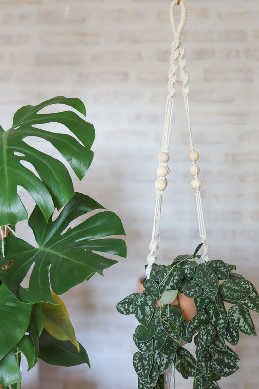 suspension en macramé porte plante en macramé plant hanger écru bois decoration boheme Maiana