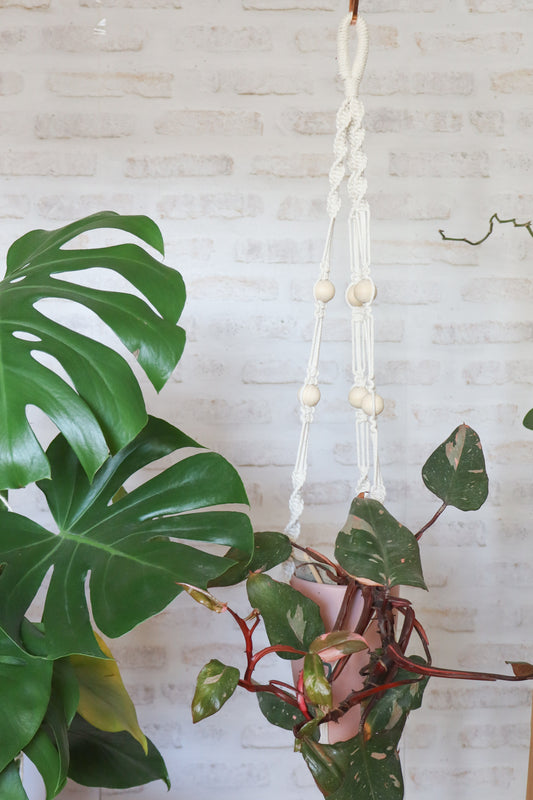 suspension en macramé porte plante en macramé plant hanger écru bois decoration boheme Maiana