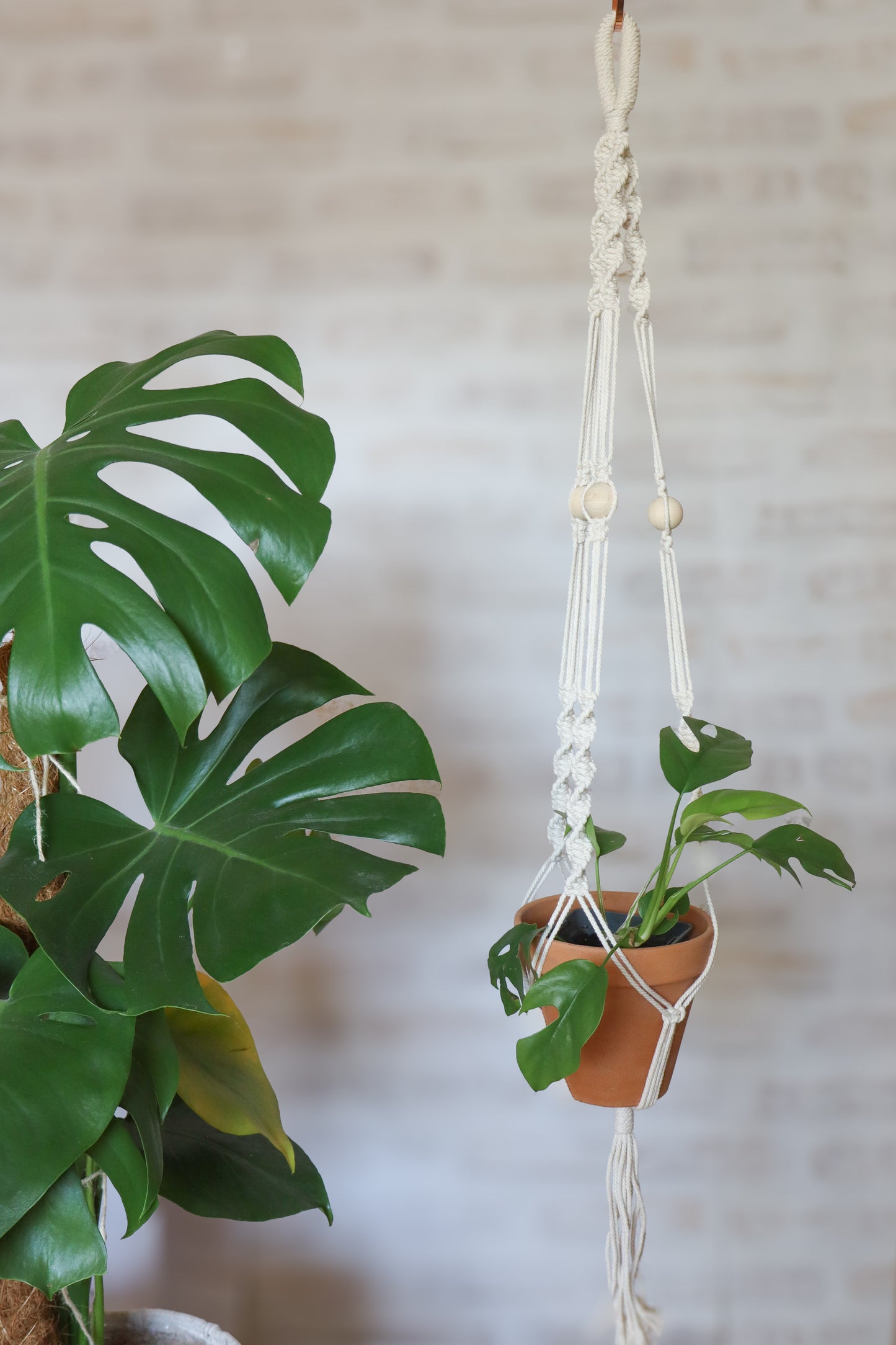 suspension en macramé porte plante en macramé plant hanger écru bois decoration boheme Maiana