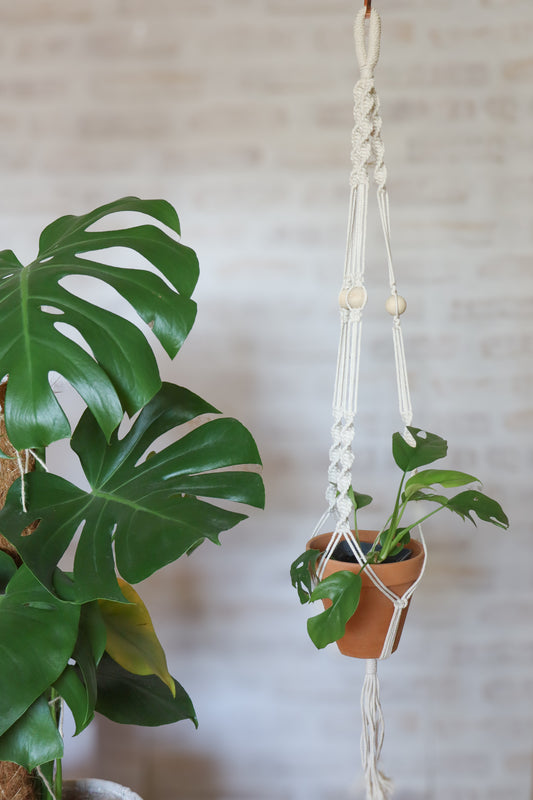 suspension en macramé porte plante en macramé plant hanger écru bois decoration boheme Maiana