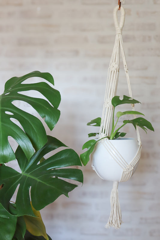suspension en macramé porte plante en macramé plant hanger écru bois decoration boheme Maiana