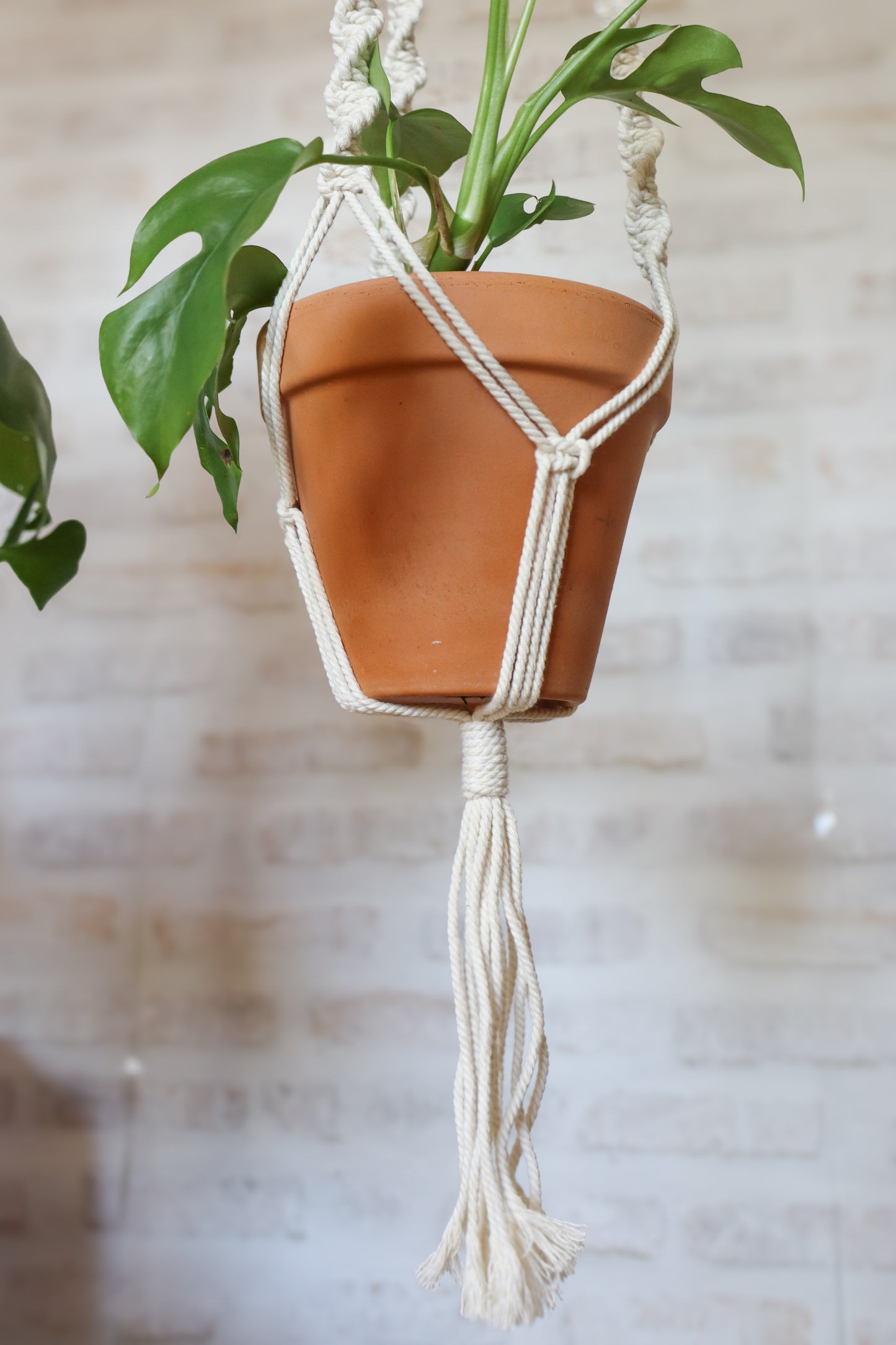 suspension en macramé porte plante en macramé plant hanger écru bois decoration boheme Maiana